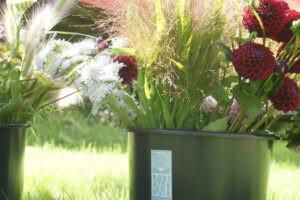 Undeland Gard – Økologiske blomster fra Hardanger - illustrasjonsbilde nr 7 for din bryllupsdag