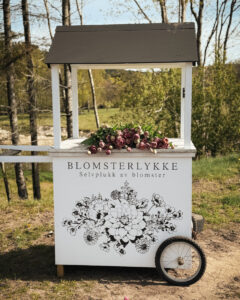 Blomsterlykke – Bryllupsblomster og magiske blomsteropplevelser - illustrasjonsbilde nr 7 for din bryllupsdag