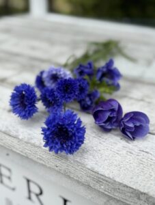Blomsterlykke – Bryllupsblomster og magiske blomsteropplevelser - illustrasjonsbilde nr 4 for din bryllupsdag